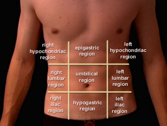 source-2013-03-nine-abdominal-regions-or-areas-jpg-healthfixit